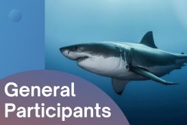 (New Version) Atlantic Shark Carcass Identification Recertification Workshop for General Participant
